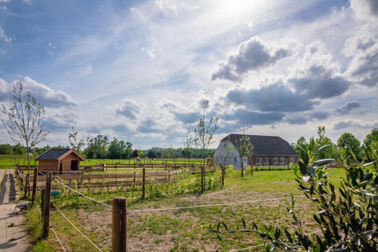 B&B Hoeve Klein Haneveld Sint-Oedenrode Exteriér fotografie